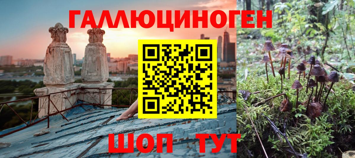 Галлюциногенные грибы MAGIC MUSHROOMS Кострома